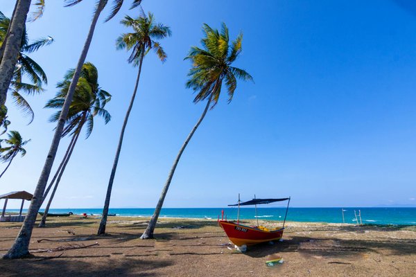 Offerte Speciali per Esplorare il Mondo!