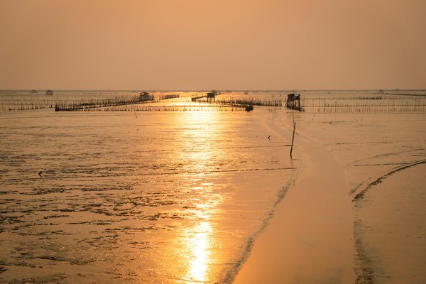 Scopri il Campeggio nel Cuore della Natura